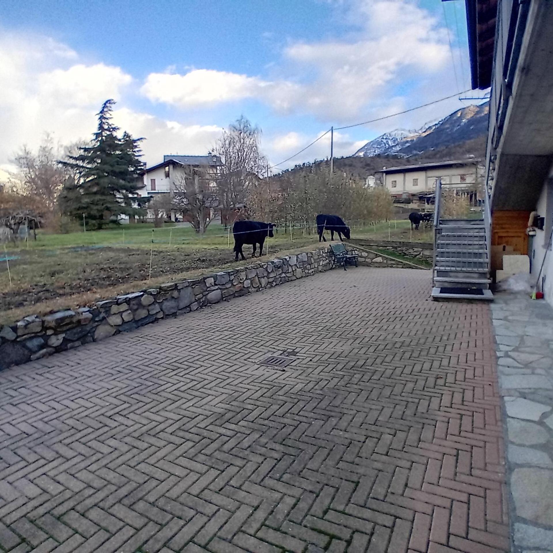 Maison Clair Vda Gressan N 0094 Aosta Zimmer foto
